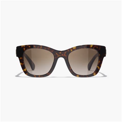 Sunglasses: Square Sunglasses, acetate Dark Tortoise — .